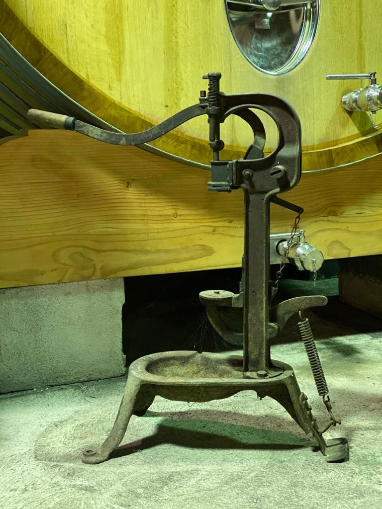 album-musee-1